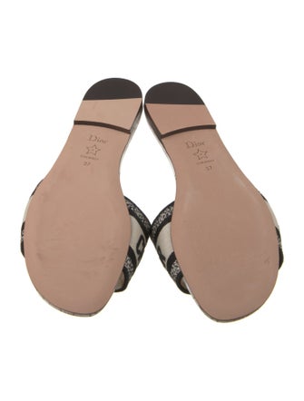 Christian Dior Jacquard Printed Slides