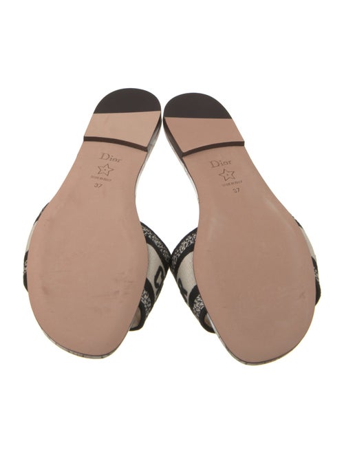 Christian Dior Jacquard Printed Slides
