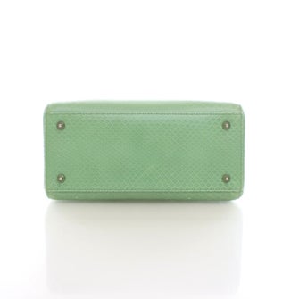 Christian Dior Python Lady Dior