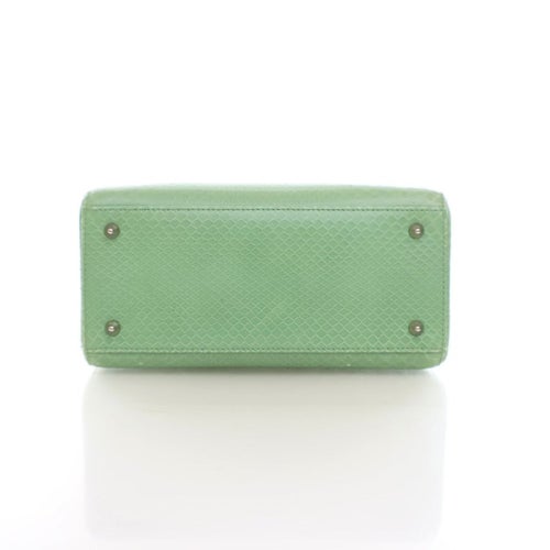 Christian Dior Python Lady Dior