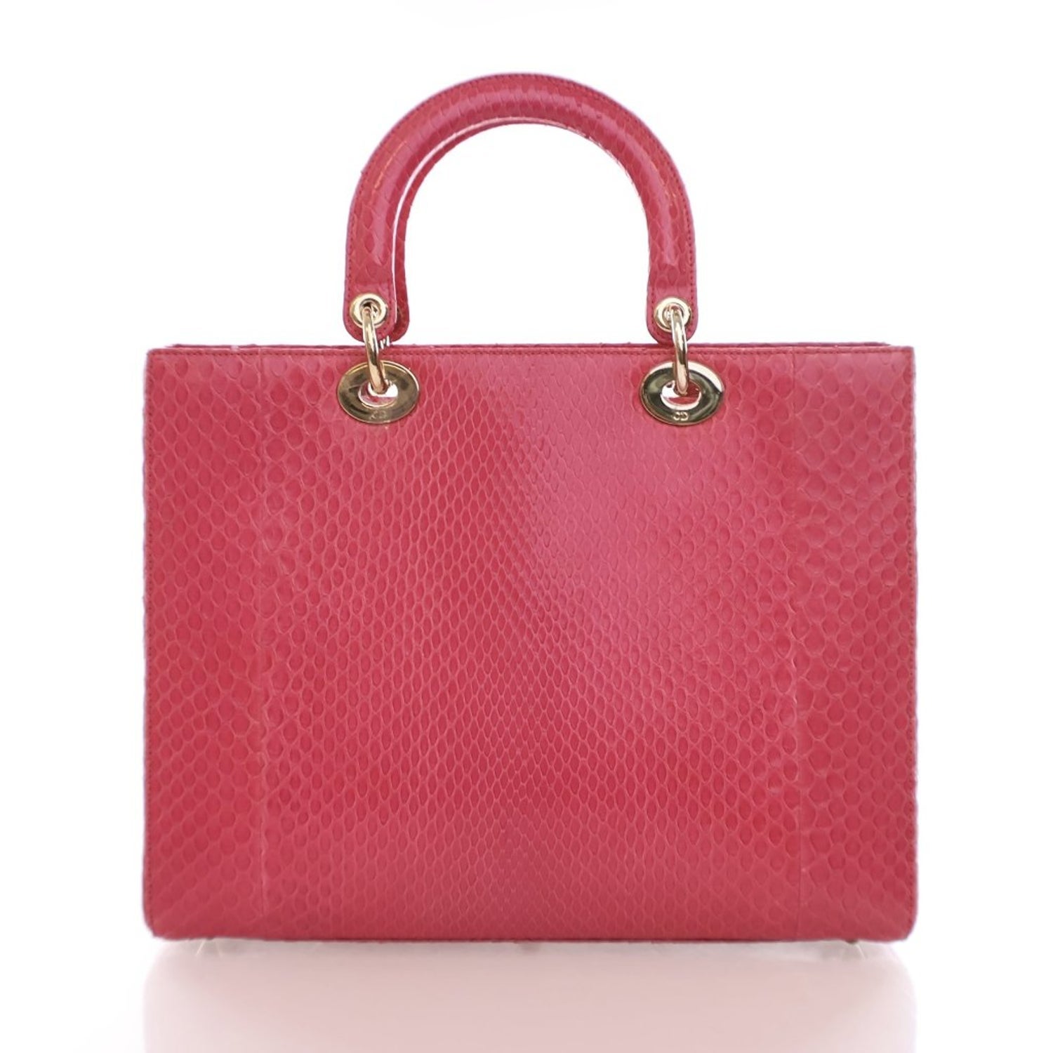 Christian Dior Python Lady Dior