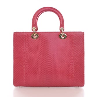 Christian Dior Python Lady Dior