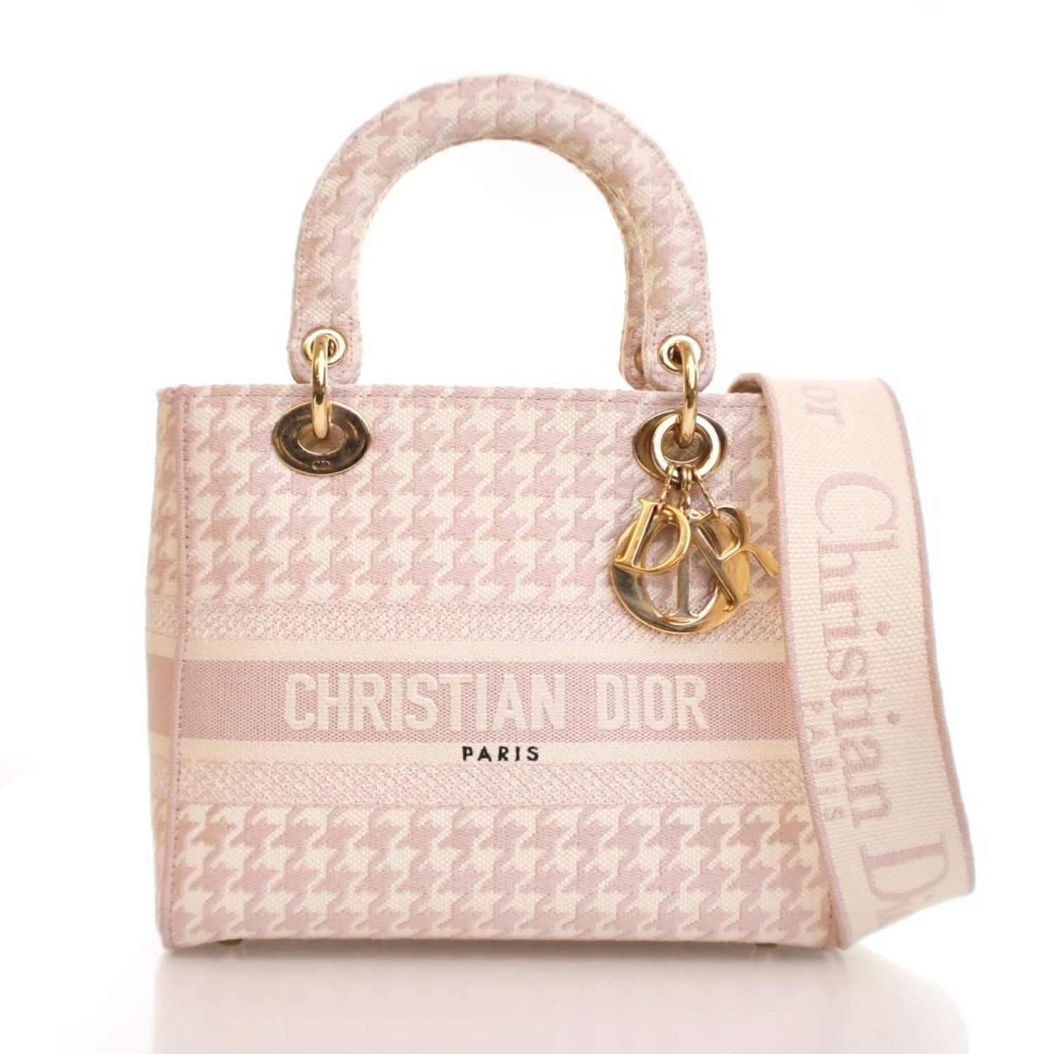 Christian Dior Canvas D-Lite
