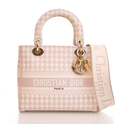 Christian Dior Canvas D-Lite