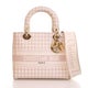 Christian Dior Canvas D-Lite