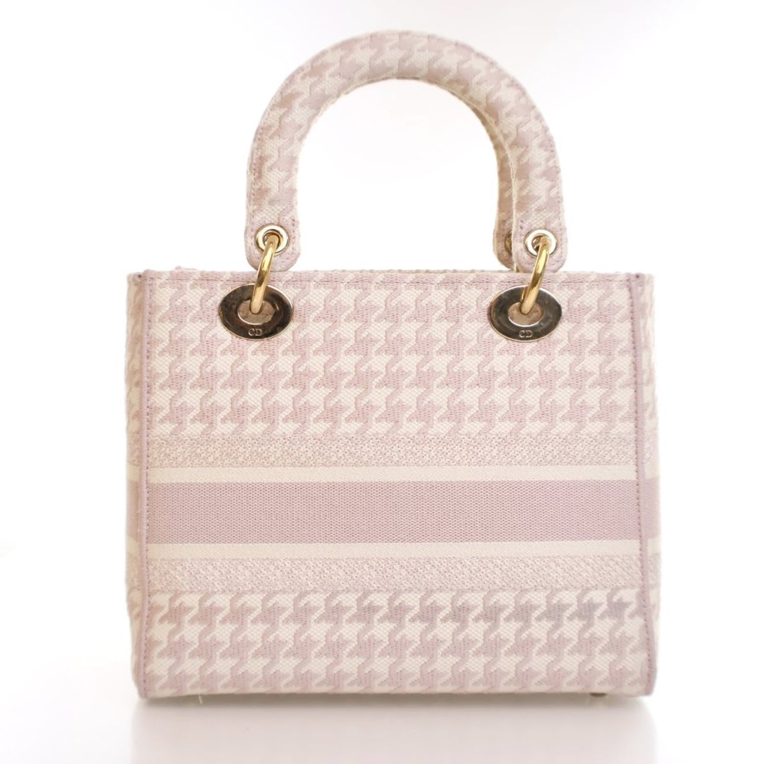 Christian Dior Canvas D-Lite