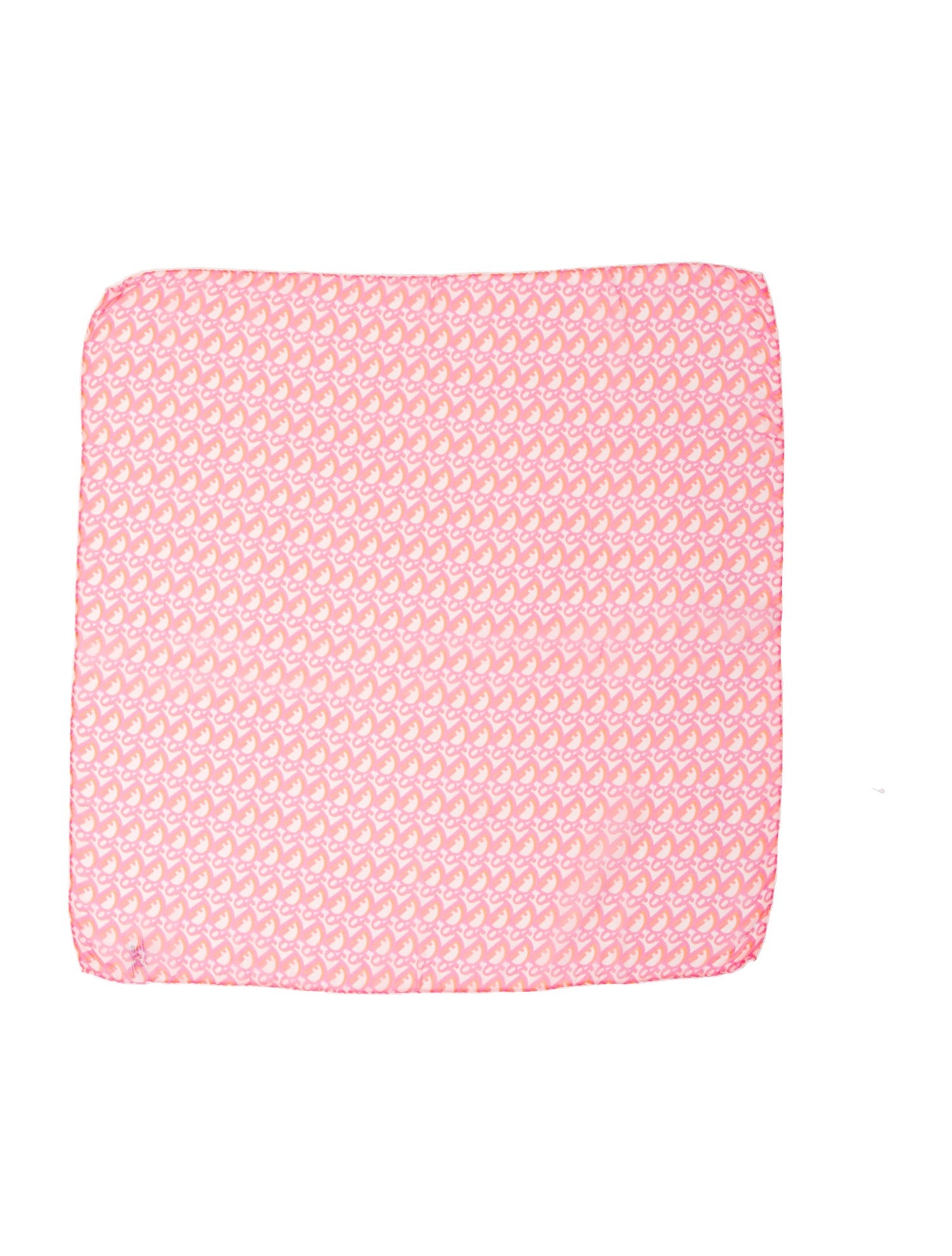 Christian Dior Silk Printed Scarf