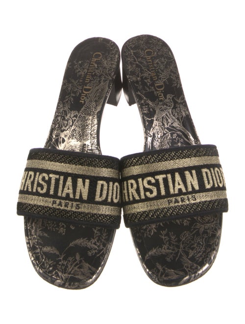 Christian Dior Graphic Print Slides