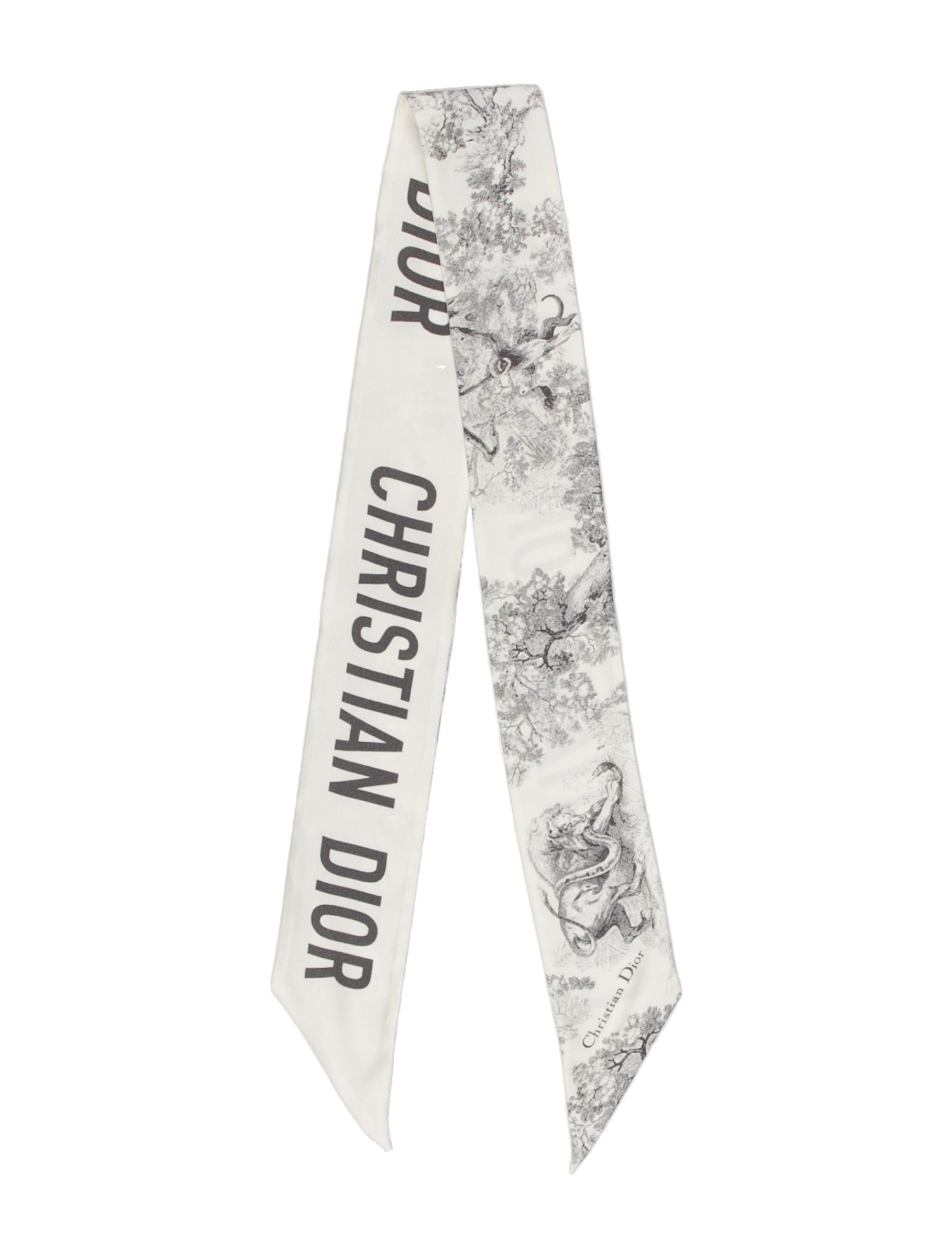 Christian Dior Silk Printed Scarf