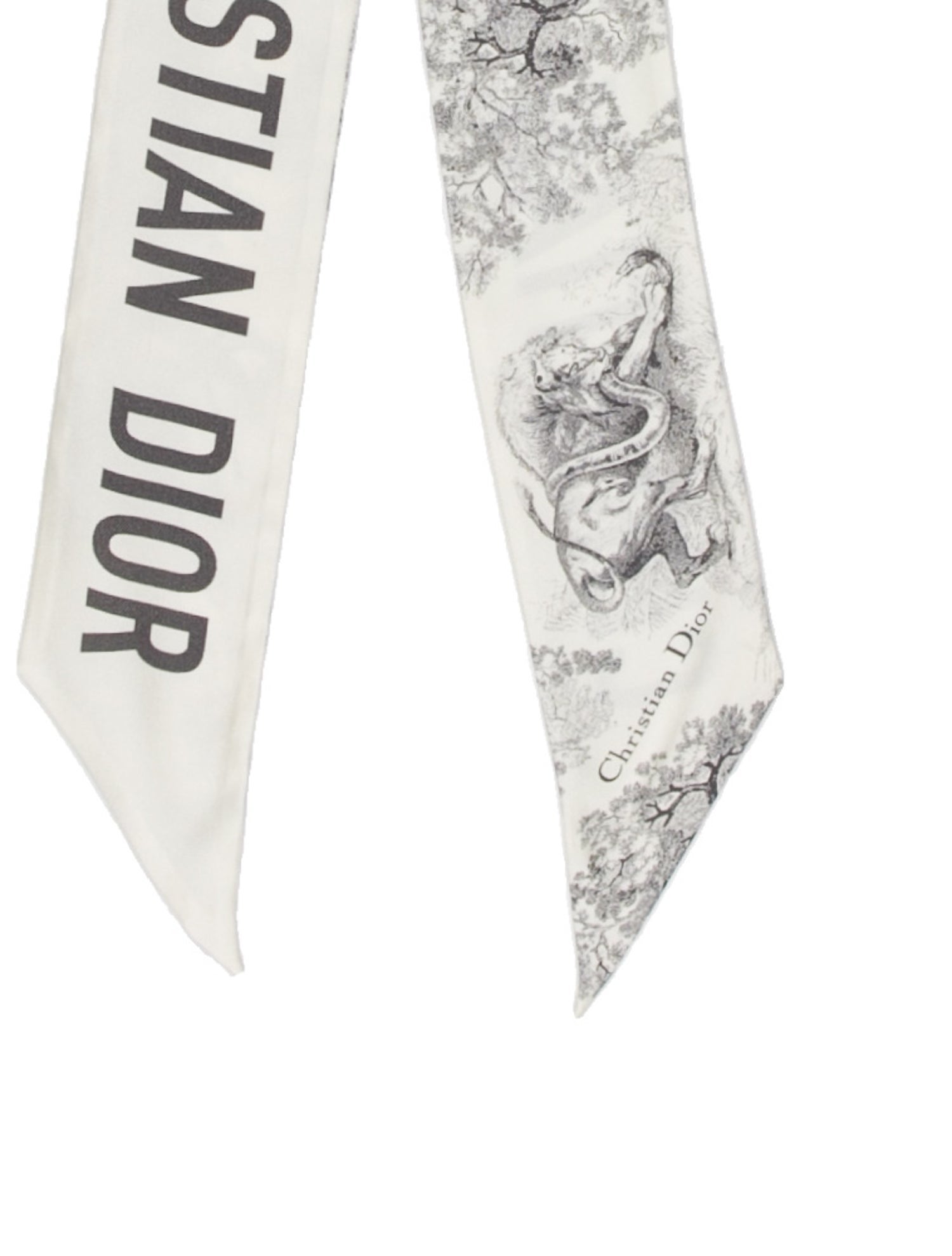 Christian Dior Silk Printed Scarf