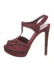 Christian Dior Suede Glitter Accents T-Strap Pumps