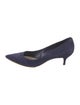Christian Dior Suede Pumps