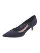 Christian Dior Suede Pumps