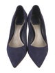 Christian Dior Suede Pumps