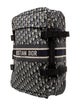 Christian Dior 2019 Small Diortravel Suitcase