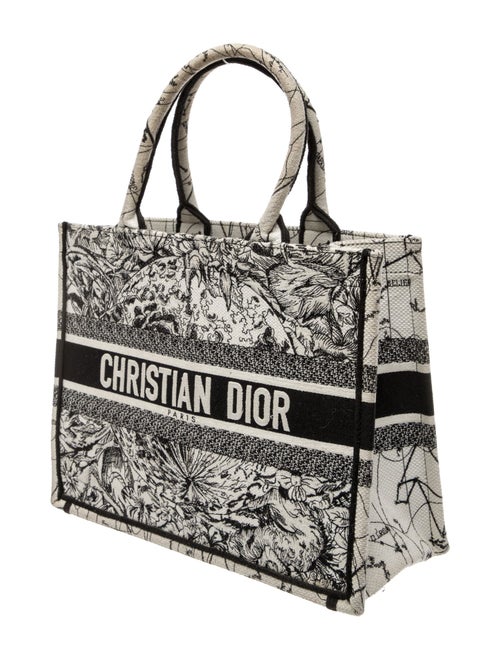 Christian Dior Canvas Book Medium