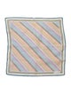 Christian Dior Striped Scarf