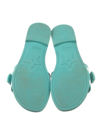 Christian Dior Signature Logo Canvas Slides