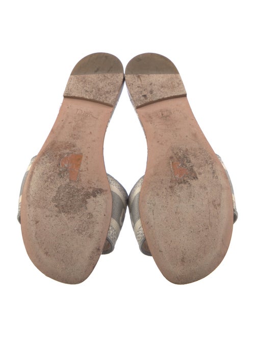Christian Dior Canvas Printed Flats