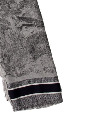 Christian Dior Wool Printed Scarf