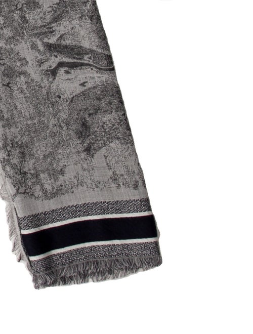 Christian Dior Wool Printed Scarf