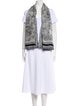 Christian Dior Wool Printed Scarf