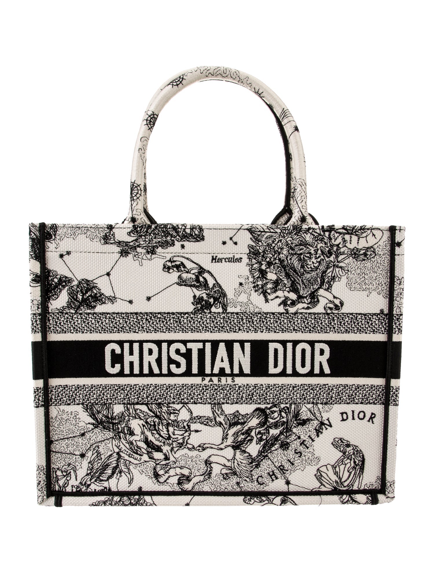 Christian Dior Canvas Book Medium 2025