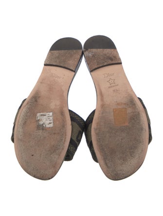 Christian Dior Printed Embroidered Accent Slides