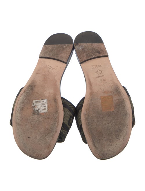 Christian Dior Printed Embroidered Accent Slides
