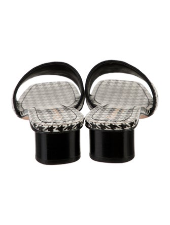 Christian Dior Printed Embroidered Accent Mules