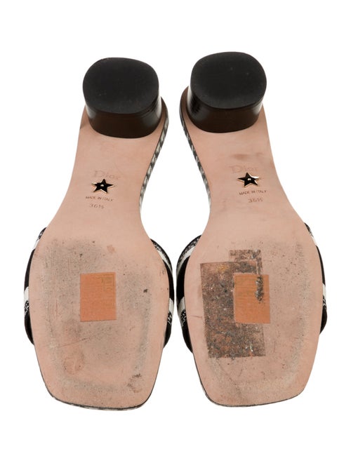 Christian Dior Printed Embroidered Accent Mules