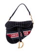 Christian Dior Signature Saddle