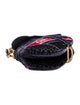 Christian Dior Signature Saddle
