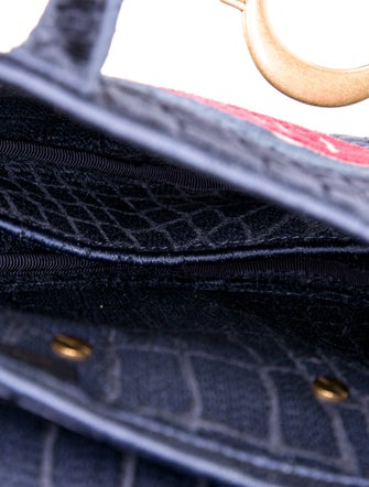 Christian Dior Signature Saddle