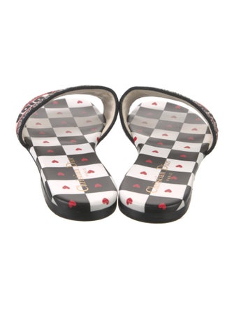 Christian Dior Printed Embroidered Accent Slides