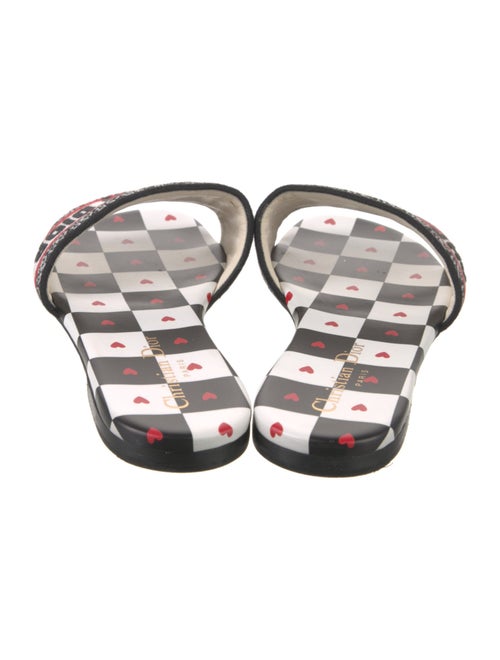 Christian Dior Printed Embroidered Accent Slides