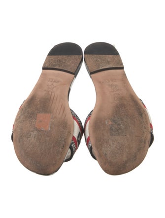 Christian Dior Printed Embroidered Accent Slides