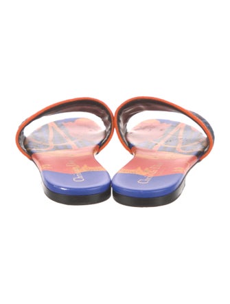 Christian Dior Printed Slides
