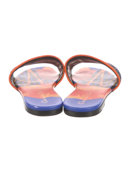 Christian Dior Printed Slides
