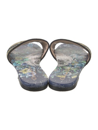 Christian Dior Patterned Embroidered Accent Slides