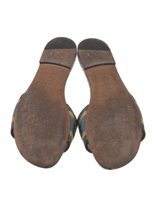 Christian Dior Patterned Embroidered Accent Slides