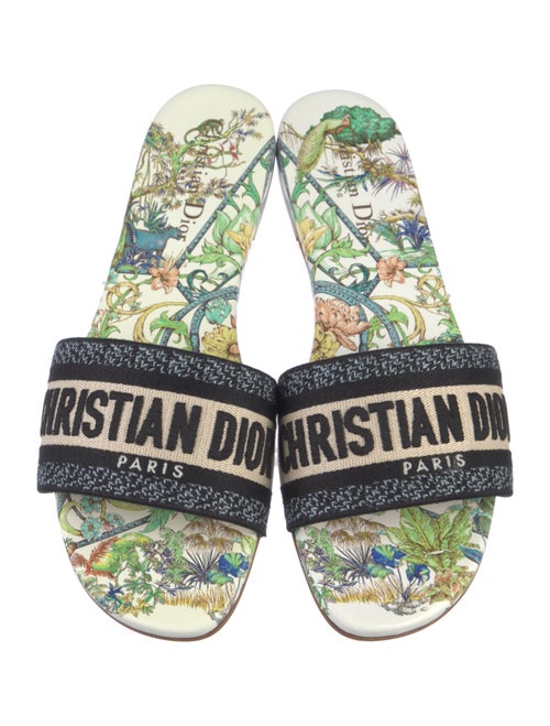Christian Dior Canvas Graphic Print Flats