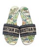 Christian Dior Canvas Graphic Print Flats