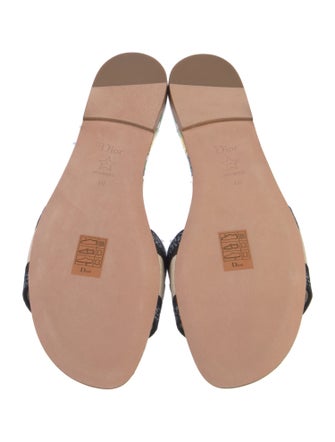 Christian Dior Canvas Graphic Print Flats