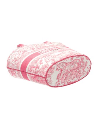 Christian Dior Signature Dioriviera Panier Chapeau 2024