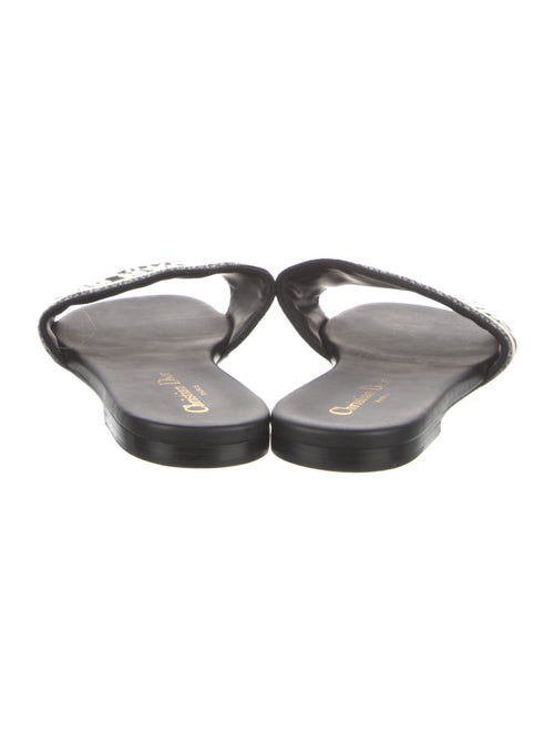 Christian Dior Graphic Print Embroidered Accent Slides
