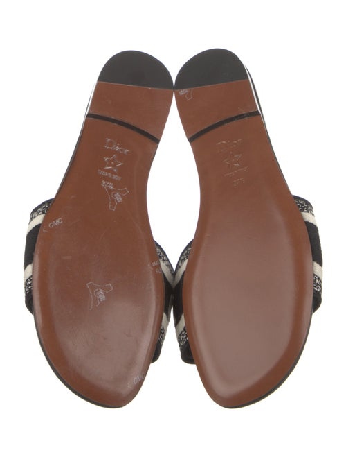 Christian Dior Graphic Print Embroidered Accent Slides