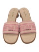 Christian Dior Raffia Graphic Print Slides