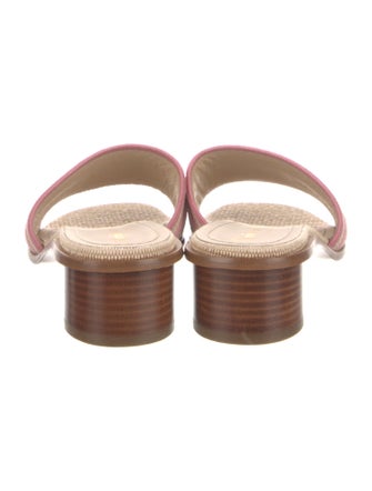 Christian Dior Raffia Graphic Print Slides