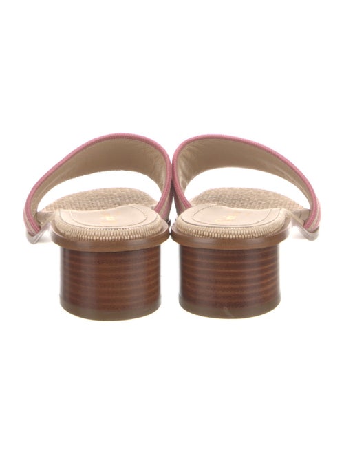 Christian Dior Raffia Graphic Print Slides